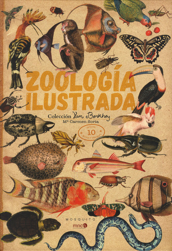 Zoología Ilustrada: Incluye 10 Laminas A Color, De Mª Carmen Soria. Editorial A.s Ediciones, Tapa Dura, Edición 2019 En Español
