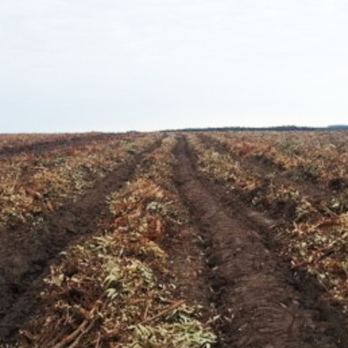 Subsolador Forestal Rastra Multifunción Srdm J. Hartwich
