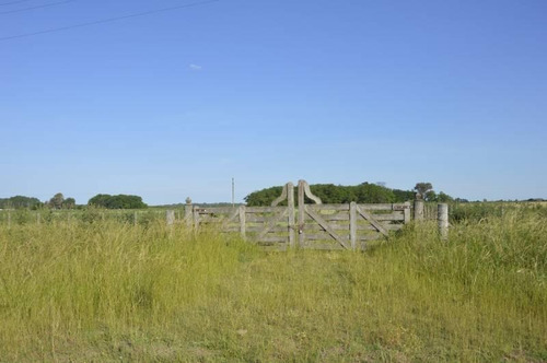 Imagen 6 de 30 de Se Vende 32 Hectáreas Agrícola - General Belgrano, Provincia De Buenos Aires