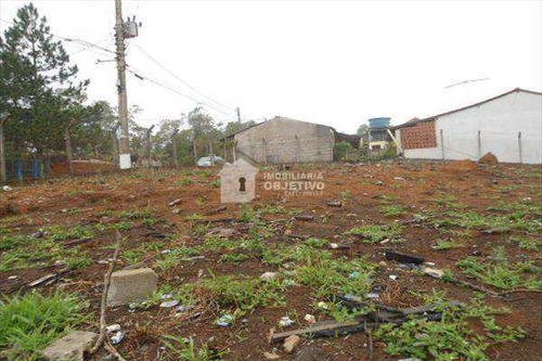 Imagem 15 de 20 de Área, Jardim Monte Verde (caucaia Do Alto), Cotia - R$ 350 Mil, Cod: 730 - V730
