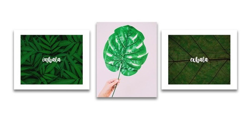 Tríptico 120x50 Canvas Botanica Selva Hojas Personalizados