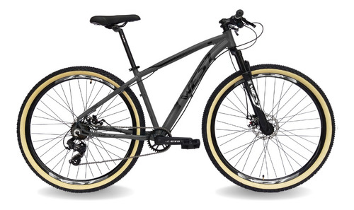 Bicicleta Mountain Bike Prowest New Discovery 2025 R29 Tamanho Do Uadro 21 - Cinza