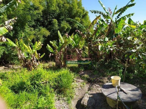 Imagem 8 de 10 de Chácara Com 2 Dormitórios À Venda, 4000 M² Por R$ 270.000,00 - Estancia Nova Campos Jordão - Santa Branca/sp - Ch0702
