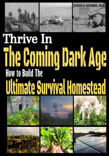 Libro: Thrive In The Coming Dark Age: How To Build The