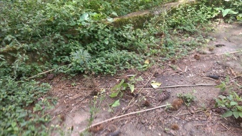 Venda Chácara Itapecerica Da Serra Brasil - 4094