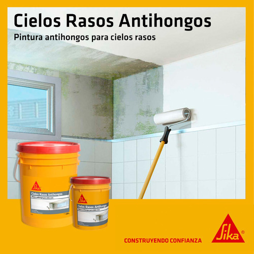 Pintura Para Cielorraso Cubritiva Antihongos Sika - 20 Kg