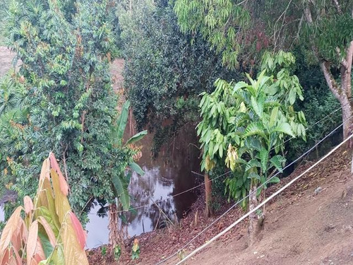 Fazenda - Sitio Com 6 Quartos, 10000m2, À Venda - Taboquinhas - Itacaré - Faz Uru
