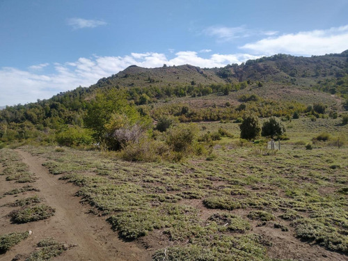 Imagen 5 de 21 de Terreno En Caleuche Mza 122 Lotes 1200 M2 - San Martin De Los Andes