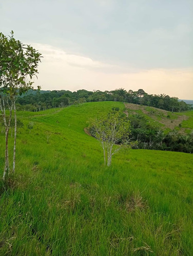 Encantadora Finca Ubicada En La Vereda Las Acacias, Via Milan