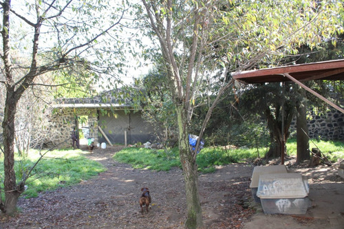Terreno En Venta, Santo Tomas Ajusco, Tlalpan.
