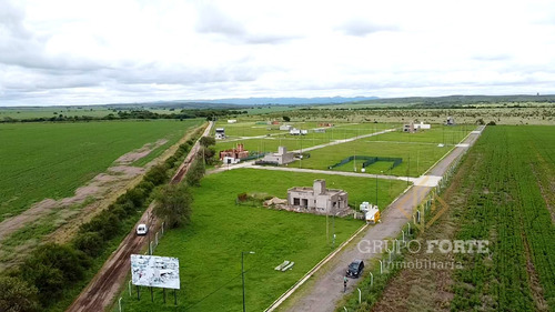Imagen 11 de 26 de Terreno A La Venta En La Ernestina