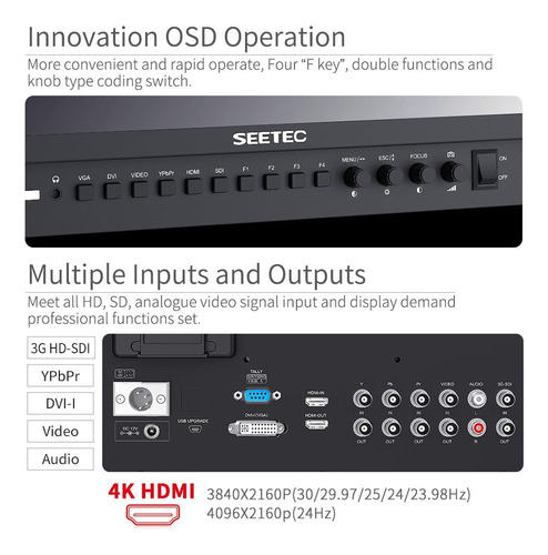 Seetec P173-9hsd 17.3 Pulgadas 1920x1080 Monitor De Escritor