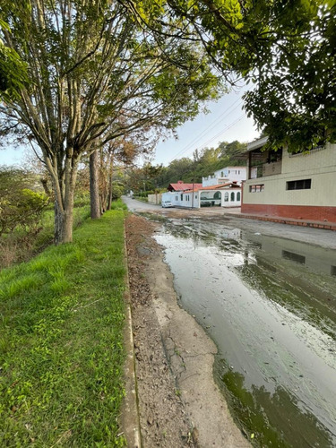 Imagen 5 de 14 de Terreno A La Venta En San Omero