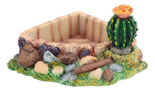 Comedero For Mascots, Reptiles, Tortugas, Lagartos, Plato