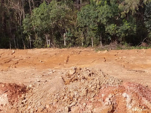Imagem 9 de 15 de Terreno Para Venda Em Curitiba, Santa Cândida - 315_2-1089810