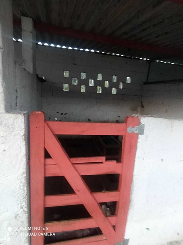 Chácara No Litoral Sul 7,3 Km Da Praia
