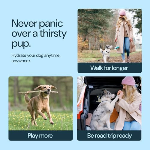 Botella De Agua Portátil Para Perro Con Dosificador, Anti-fu
