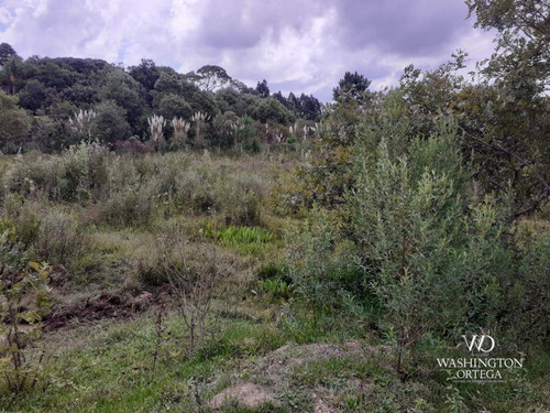 Imagem 19 de 21 de Chácara À Venda, 8500 M² Por R$ 260.000,00 - Zona Rural - São José Dos Pinhais/pr - Ch0060