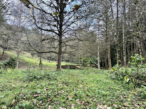 Rancho En Venta En Rancho Viejo Xolostla 10 Minutos De Xalapa Zona Coapexpan.