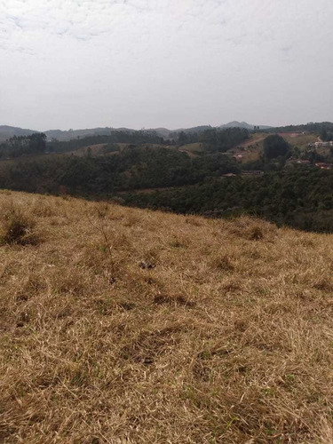 Imagem 6 de 10 de 08- Terreno De 10 Mil M2 Com Área De Preservação