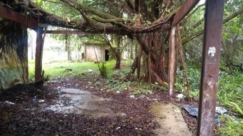 Imagem 4 de 8 de Chácara Com 5181 Metros (33x157) Em Itanhaém Litoral Sul Sp