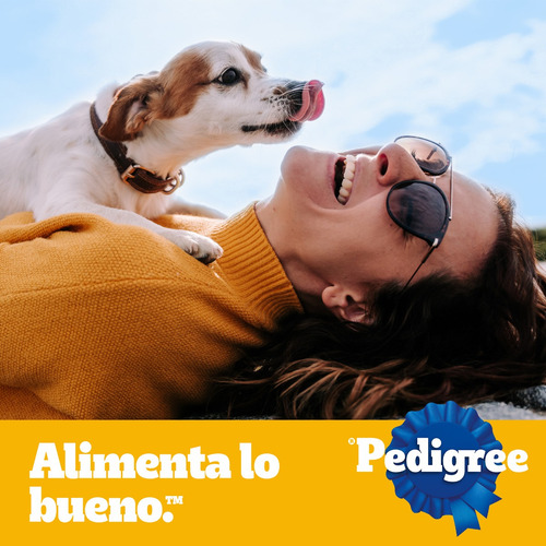 Pedigree Sano Crecimiento Etapa 1 Perro Cachorro 21kg