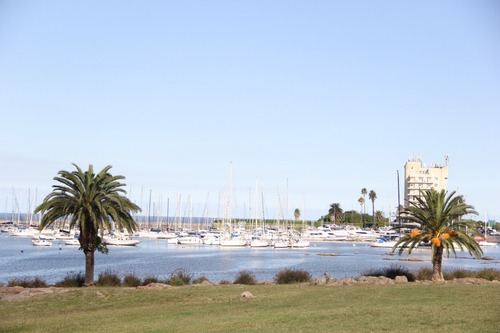 Venta Apartamento Monoambiente Pocitos Calle Berro