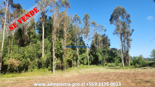 Parcelas 5000 Mts Loteo Ancahual, Loncoche