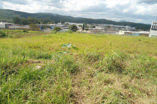 Imagem 6 de 6 de Terreno, Chácara Do Solar I (fazendinha), Santana De Parnaíba - R$ 25 Mi, Cod: 118300 - V118300