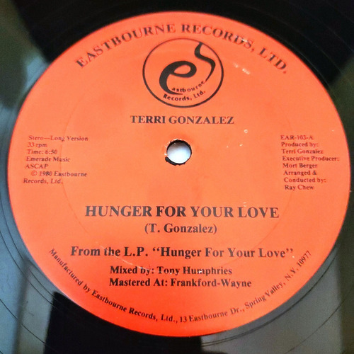 Terri Gonzalez - Hunger For Your Love    Lp