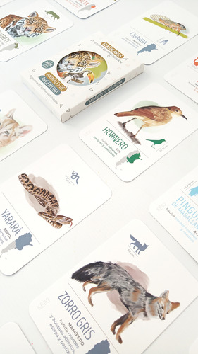 Cartas Didácticas Aprendizaje Animales Argentinos Flashcards