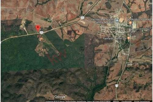 Imagen 4 de 8 de Terreno Para Desarrollar