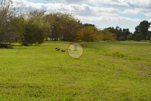 Imagen 1 de 30 de Terreno Lote En Venta Ubicado En Manuel B Gonnet, La Plata