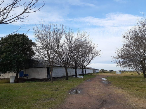 Imagen 12 de 12 de Granja Avícola Ganadera En Venta