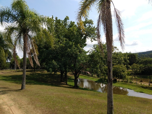 Chácara 5.095 M² - Lomba Grande - Novo Hamburgo - Rs - 2302 - 34792314