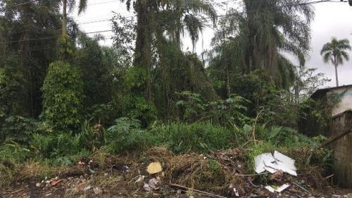 Terreno De Chácara Ficando Lado Serra 2km Da Rodovia 5859