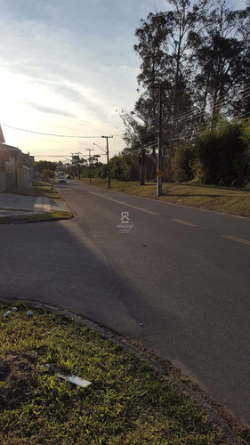 Imagem 5 de 7 de Terreno - Aviacao - Ref: 6504 - L-6504