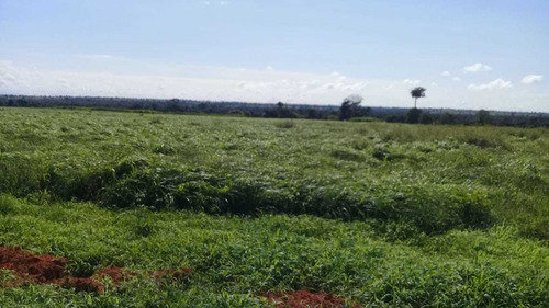 Imagem 20 de 25 de Rural, Zona Rural, Nova Crixás - Go | 945509 - Go - Ch0113_abi
