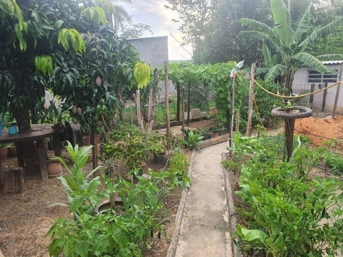 Imagem 10 de 15 de Chácara Com Casa E Piscina - 1134