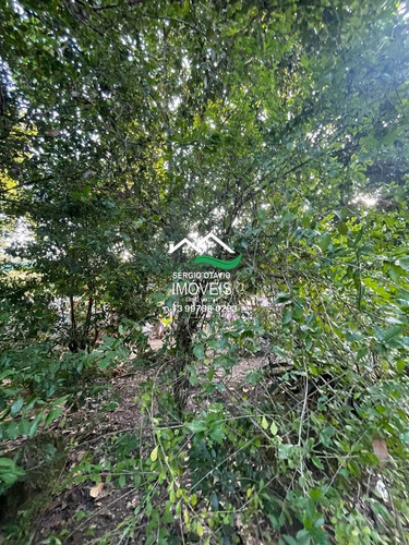 Imagem 21 de 30 de Chácara Com 2 Dorms, Area Rural, Pedro De Toledo - R$ 139 Mil, Cod: 542 - V542