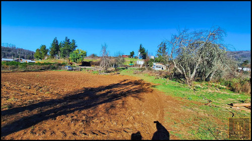Parcela Rusticas, 5000m2 En Chacay,sta. Juana (112739)