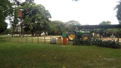 Imagen 11 de 14 de Fabulosa Finca En Maturin