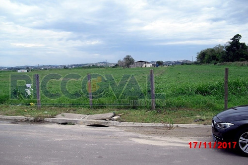 Imagem 6 de 11 de Terreno Condomínio Em Rio Abaixo - Jacareí - 4153