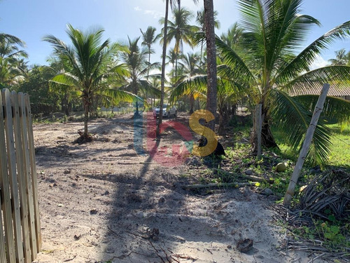 Imagem 14 de 15 de Vendo Excelente Terreno A 20 Metros Da Praia - 4699