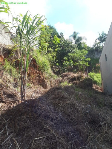 Imagem 5 de 8 de Terreno - Te00074 - 69538610