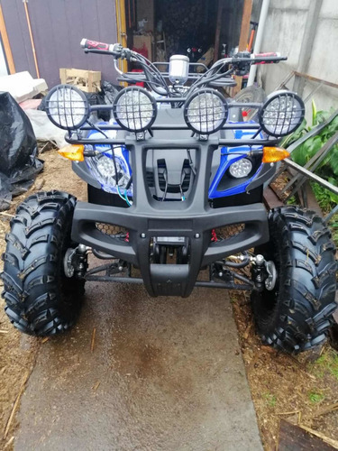 Imagen 4 de 10 de Cuatrimoto Atv Motor 250