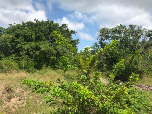 Imagen 5 de 6 de Terreno Vacacional En Venta En Tucacas Morrocoy Inm-026