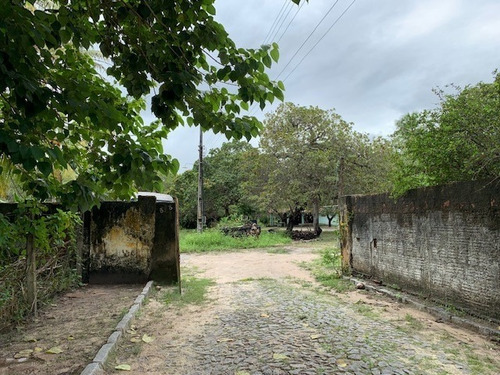 Imagem 8 de 25 de Terreno Para Alugar Na Cidade De Eusebio-ce - L13692