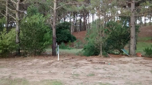 Lote Zona Álamos Iii- Cul De Sac De Fgta. Libertad