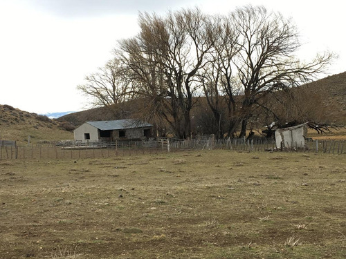 Campo - Tecka